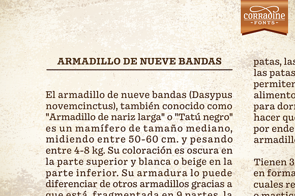 Pueblito font family in Serif Fonts - product preview 2