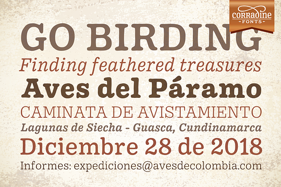 Pueblito font family in Serif Fonts - product preview 6