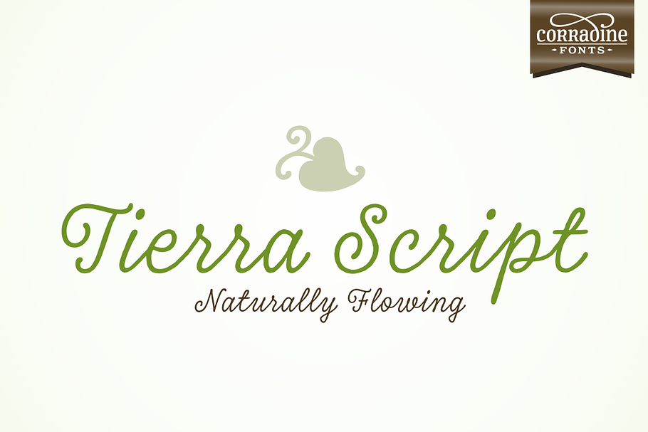 Tierra Script in Script Fonts - product preview 8