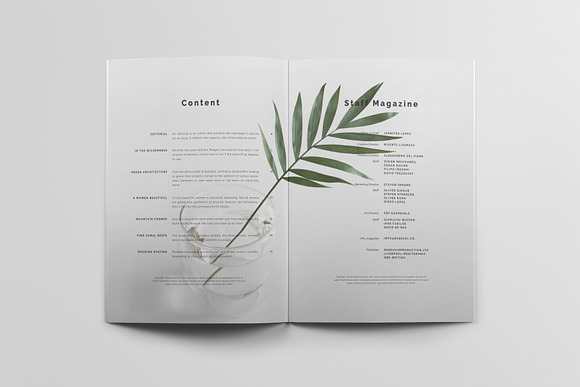 Magazine Template in Magazine Templates - product preview 4