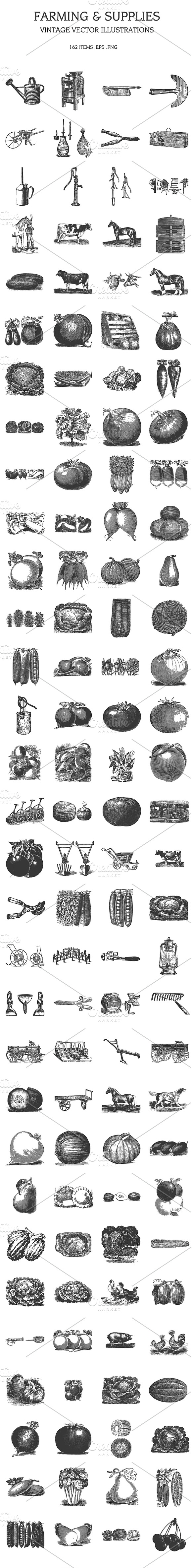 Vintage Vector Illustrations Bundle in Illustrations - product preview 13