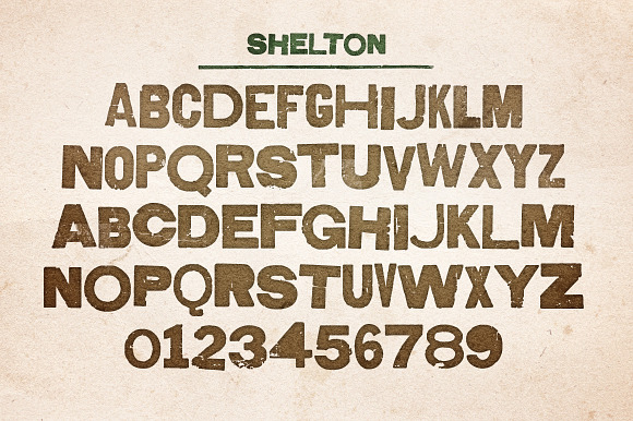 Shelton in Display Fonts - product preview 3