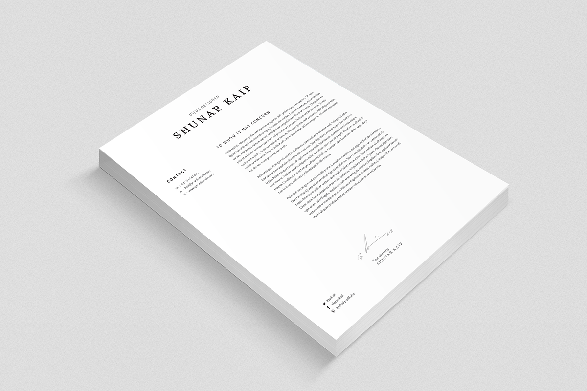 Volkhov Resume in Resume Templates - product preview 8