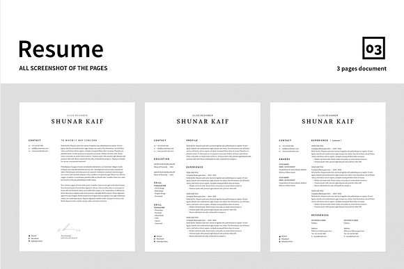 Volkhov Resume in Resume Templates - product preview 4