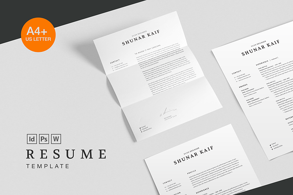 Volkhov Resume in Resume Templates - product preview 5