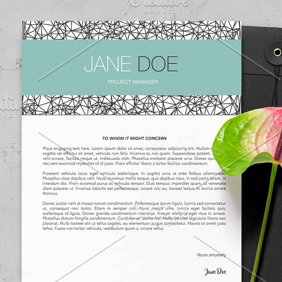 Modena | Resume & Cover Letter in Letter Templates - product preview 2