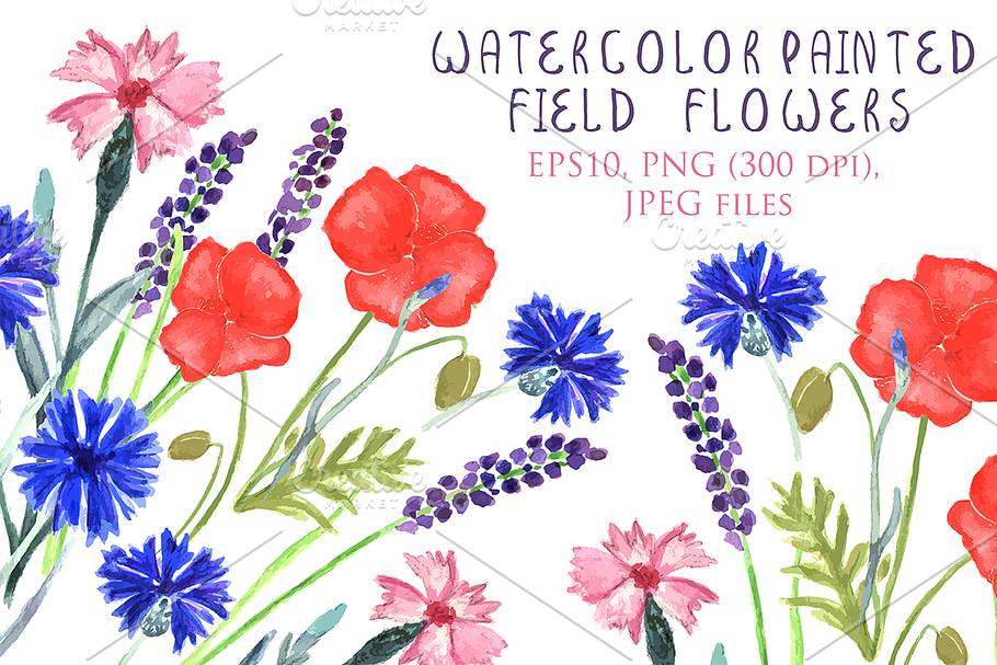 Watercolor Provence field flowers