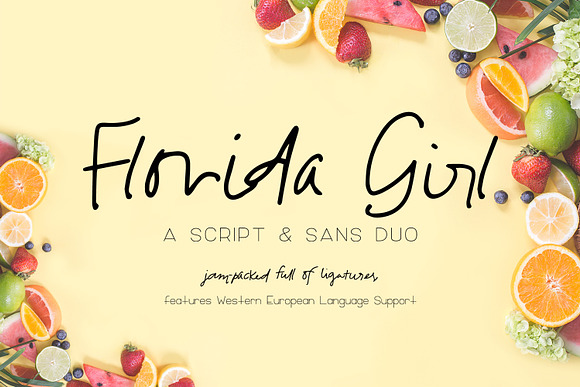 The Signature Font Bundle in Fonts - product preview 10