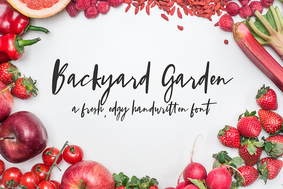 The Signature Font Bundle in Fonts - product preview 14
