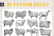 Vintage Sheep Illustration Pack