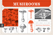 Mushroom Vector Illustrations