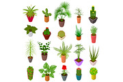 Green Plants in Pot Set