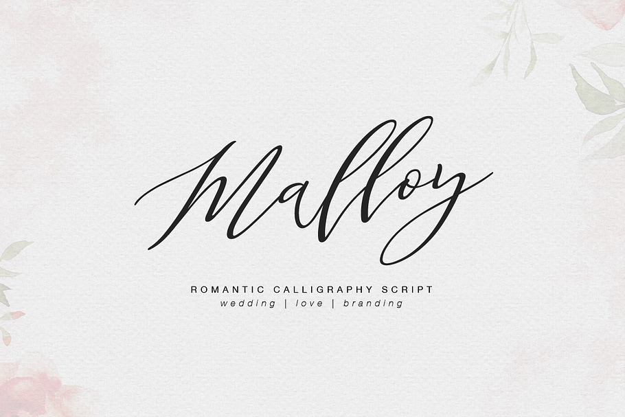 Malloy in Script Fonts - product preview 8