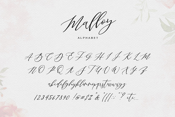 Malloy in Script Fonts - product preview 6