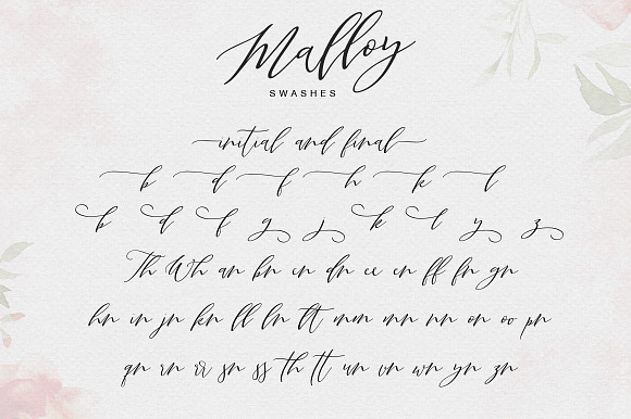 Malloy in Script Fonts - product preview 7