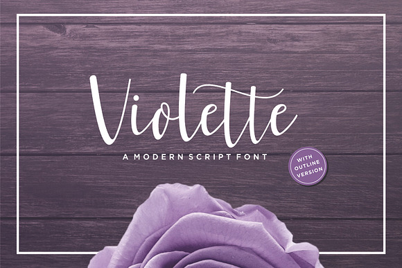 Violette Script Font in Script Fonts - product preview 9