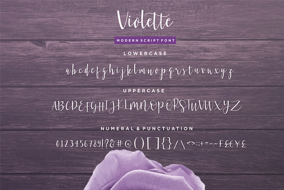 Violette Script Font in Script Fonts - product preview 11