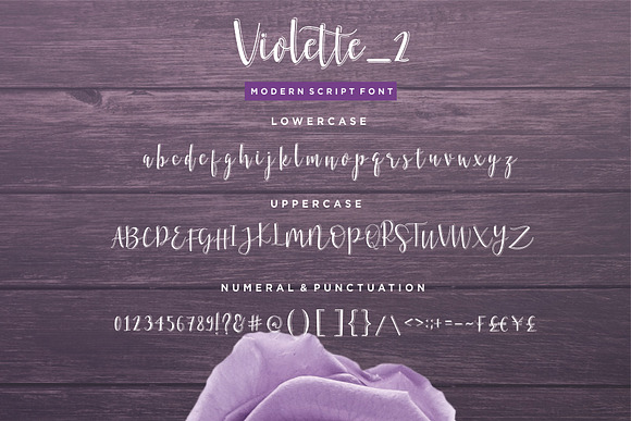 Violette Script Font in Script Fonts - product preview 12