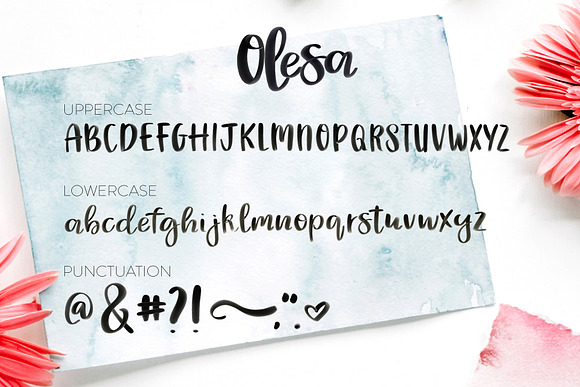 Olesa Watercolor OpenType SVG Font in Script Fonts - product preview 1
