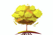 Single autumn cartoon tree with root