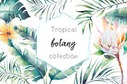 Tropical botany collection