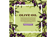 Olive fruit sketch frame of extra virgin oil label