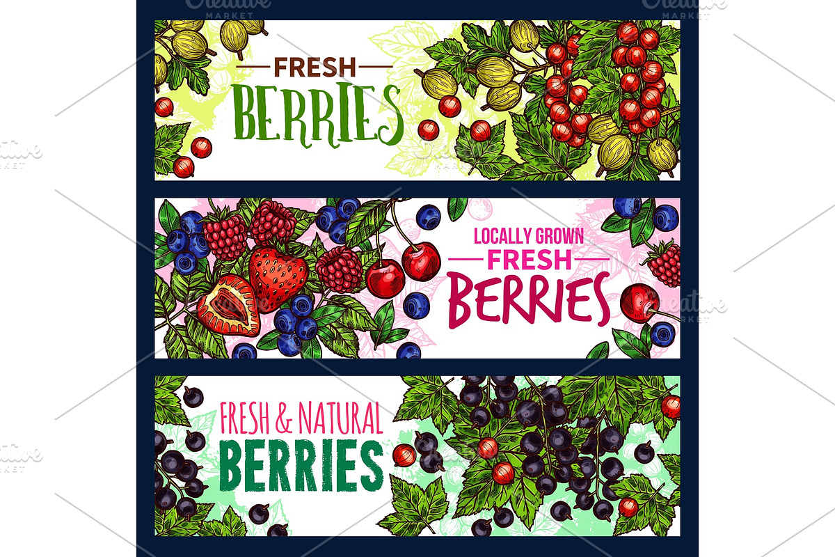 Berry with leaf banner of wild and garden fruit in Illustrations - product preview 8