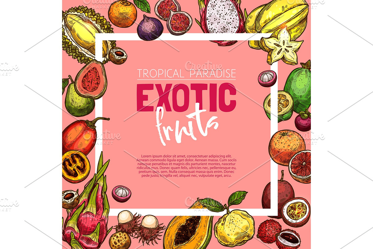 Exotic fruit and tropical berry sketch frame in Illustrations - product preview 8