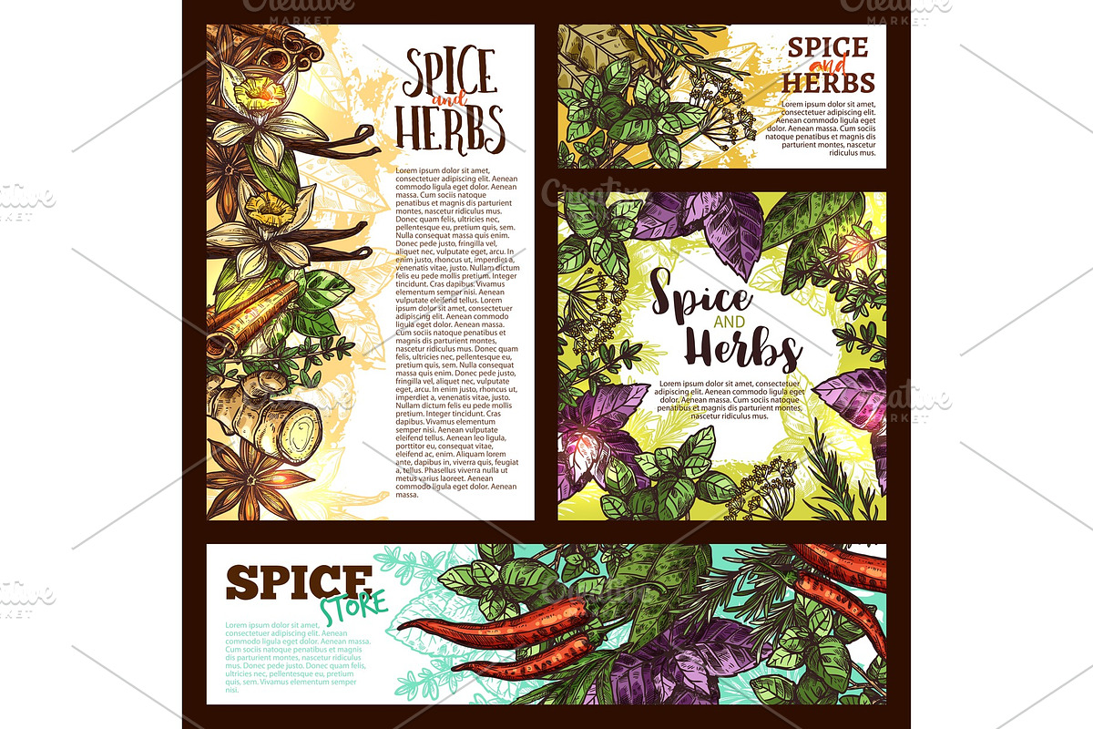 Spice, herb and aromatic vegetable sketch banner in Illustrations - product preview 8
