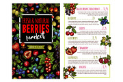 Berry and fruit banner for price list template