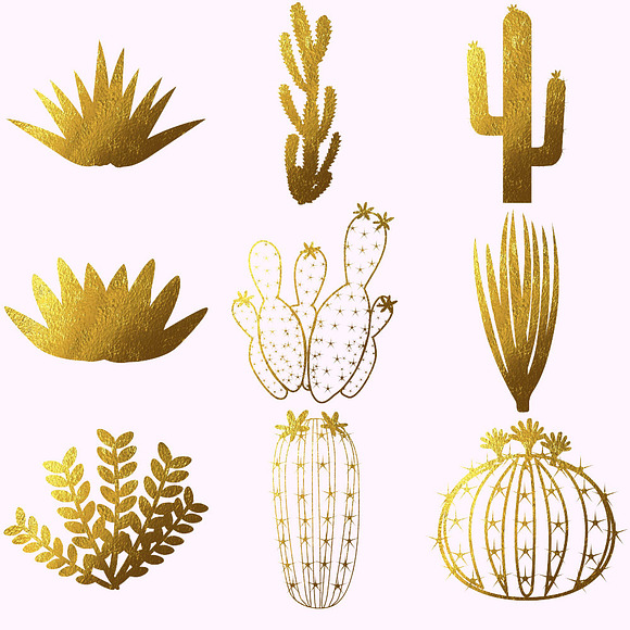 Cactuses & Succulents Clipart in Illustrations - product preview 1