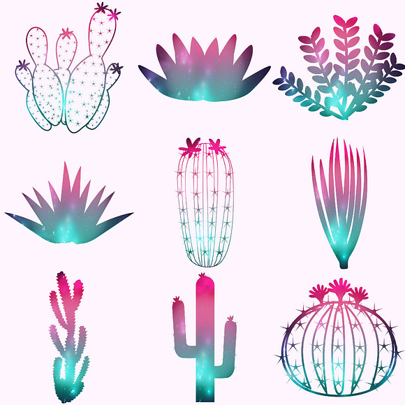 Cactuses & Succulents Clipart in Illustrations - product preview 2