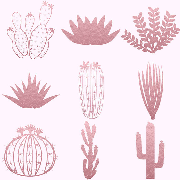 Cactuses & Succulents Clipart in Illustrations - product preview 3