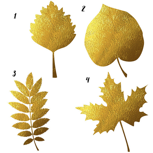 Autumn Leaves Silhouettes Clipart in Illustrations - product preview 1