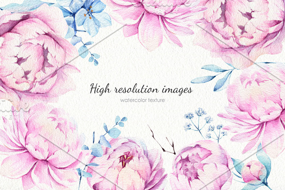 Peonies Dream Watercolor Set in Illustrations - product preview 5