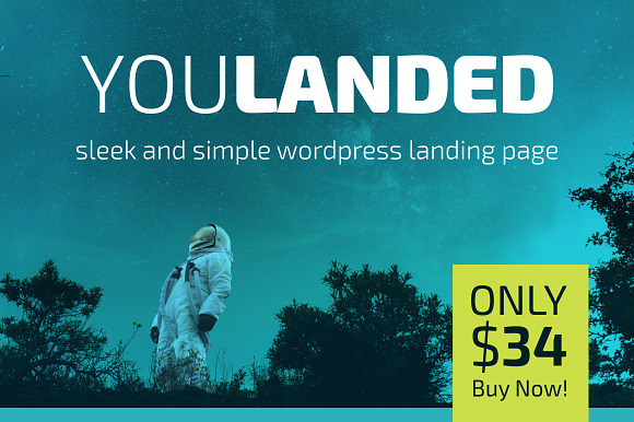 You Landed - Wordpress Landing Page in WordPress Landing Page Themes - product preview 4