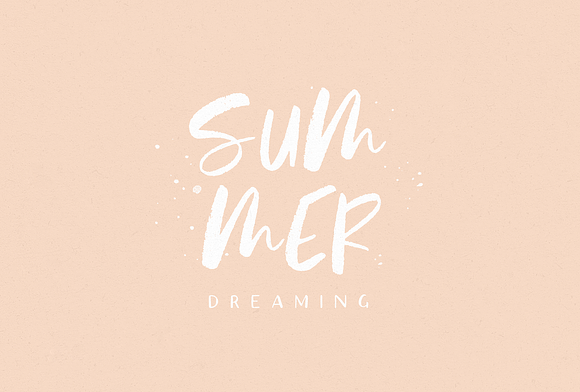 Summer Palms Brush Script Font in Script Fonts - product preview 6