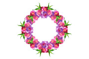 Watercolor floral wreath frame art