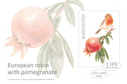 European robin with pomegranate