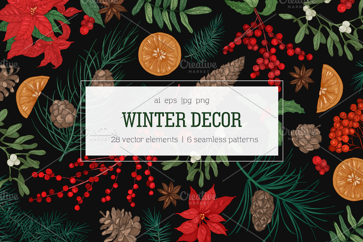 Winter decorative plants in Illustrations - product preview 8