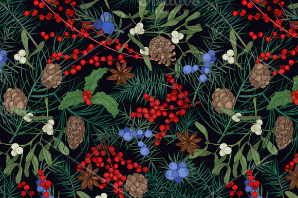 Winter decorative plants in Illustrations - product preview 4