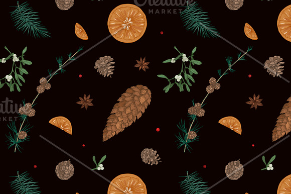 Winter decorative plants in Illustrations - product preview 5