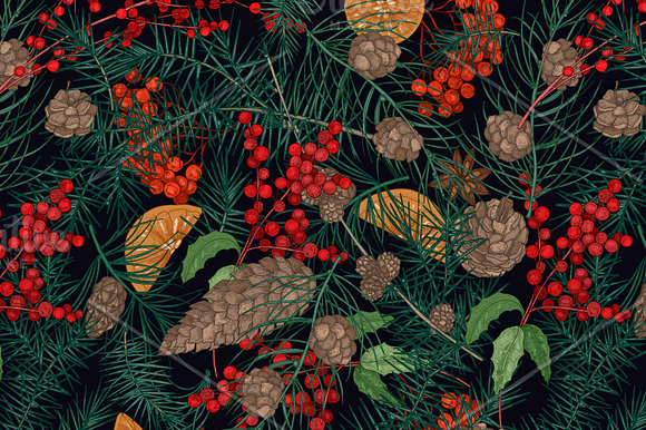 Winter decorative plants in Illustrations - product preview 9