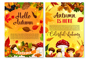 Autumn Hello fall seasonal vector greeting card