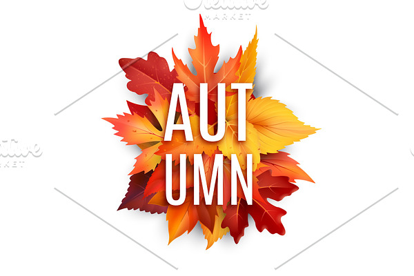 Autumn foliage leaf vector poster of fall leaves