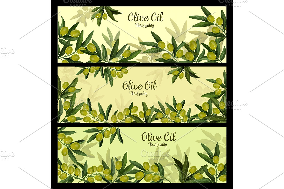 Green olive branch banner for natural oil label in Illustrations - product preview 8