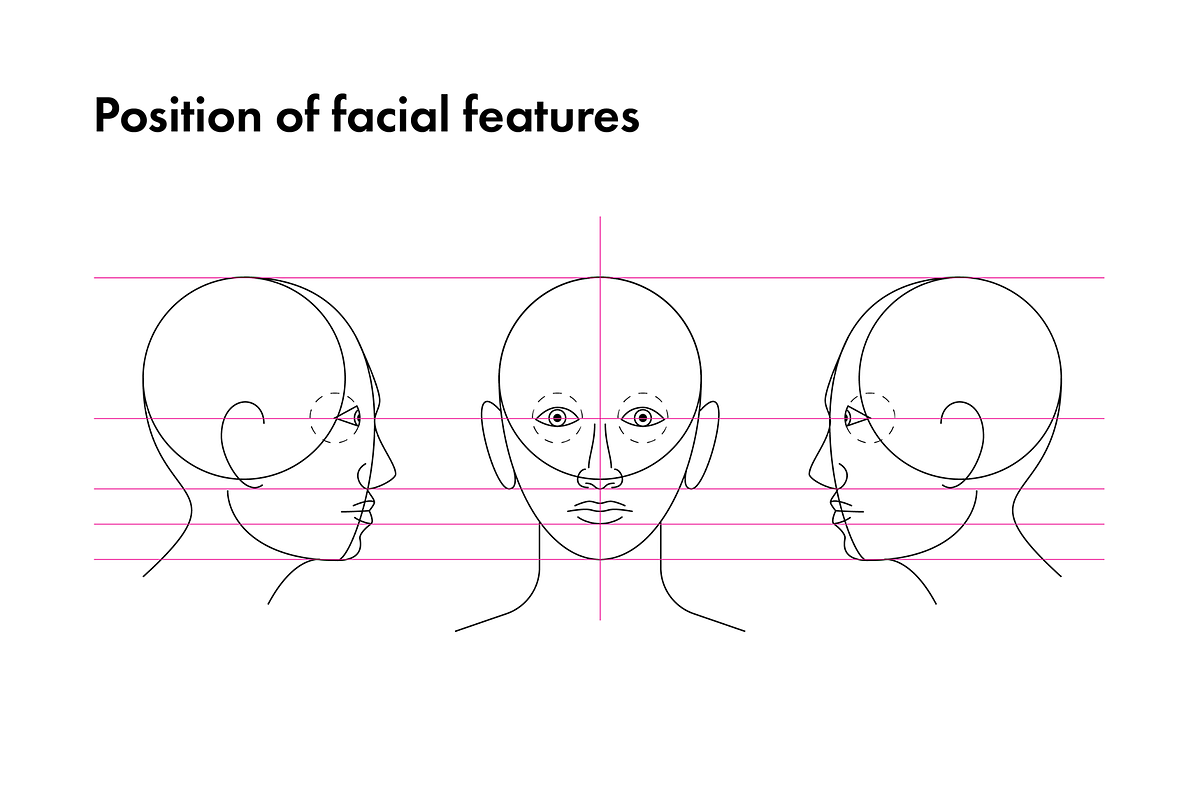 Anatomy Drawing Aid - The Human Head in Illustrations - product preview 8