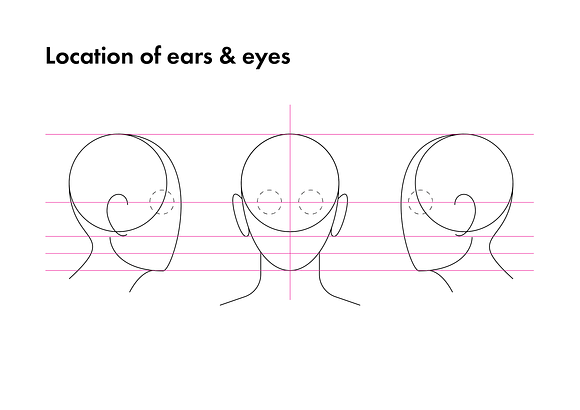Anatomy Drawing Aid - The Human Head in Illustrations - product preview 4
