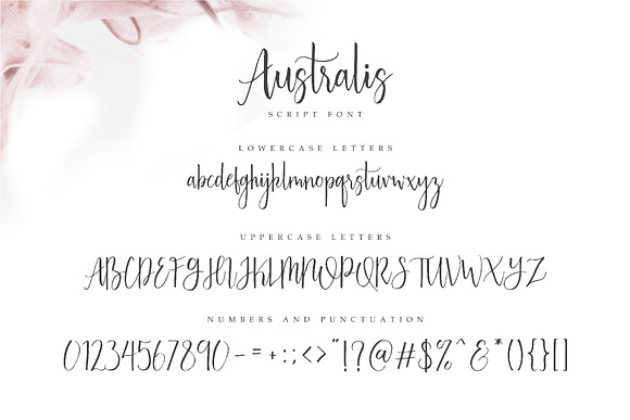 Australis - Modern Script Font in Modern Fonts - product preview 6