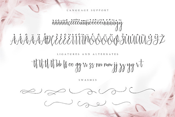 Australis - Modern Script Font in Modern Fonts - product preview 7